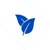 icon-rhombus-blue-leaves-pair